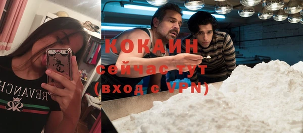 соль ск Белокуриха