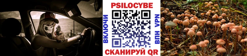 Галлюциногенные грибы Psilocybine cubensis  гидра ссылка  Малмыж  закладка 